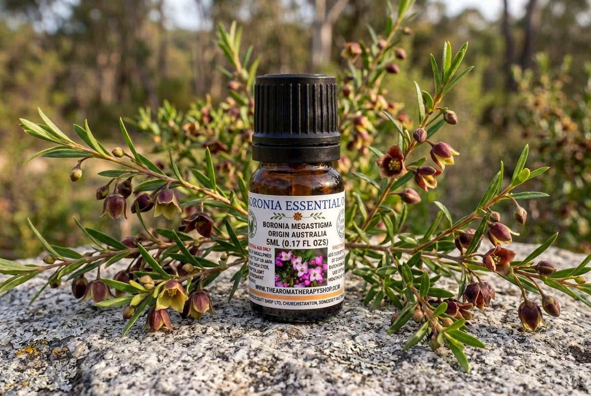 Boronia revision targeting the earlier framing while retaining the latest approved label wording