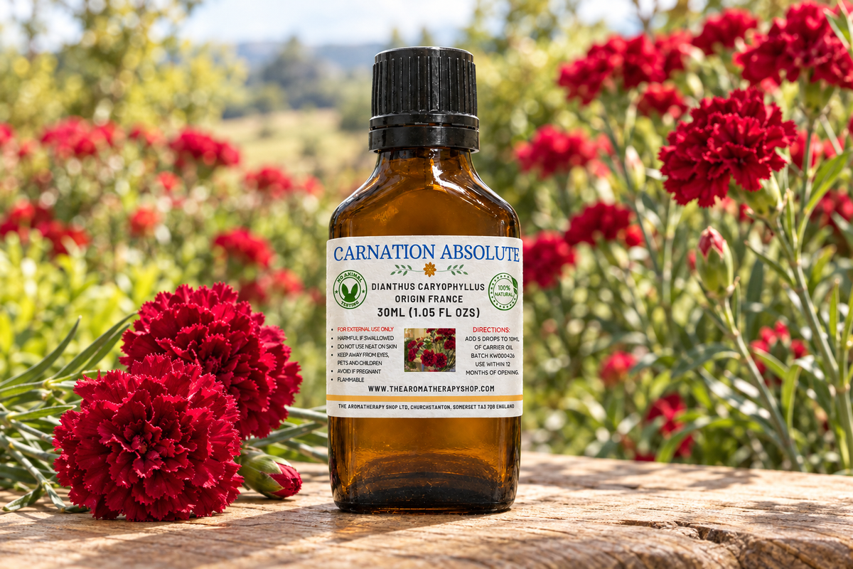 Carnation Absolute showcase with your label, full-sized crimson carnations on weathered chestnut wood and a flowering garden background