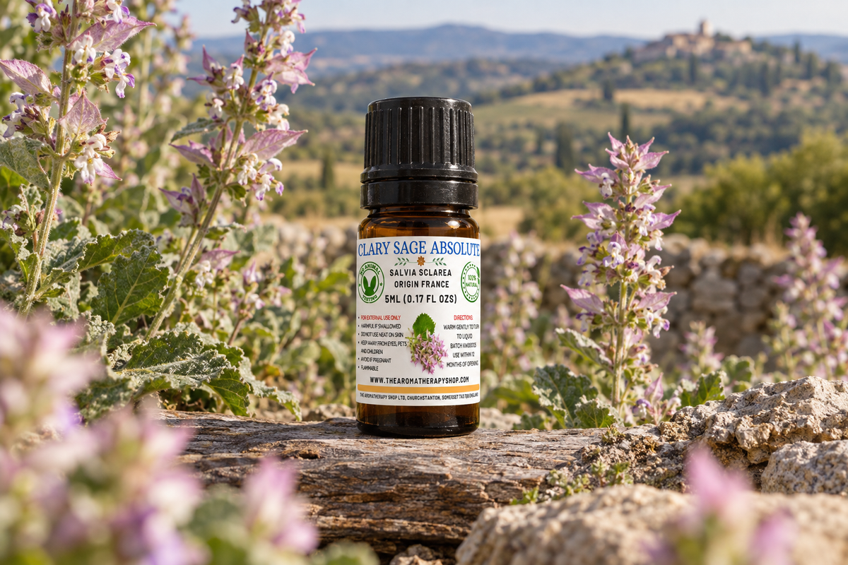 Clary Sage Absolute 5ml Provence outdoor showcase