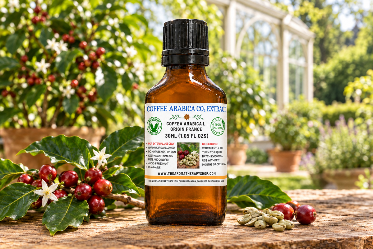 Coffee Arabica showcase with your label, coffee cherries and beans on weathered oak, and a French conservatory-garden background