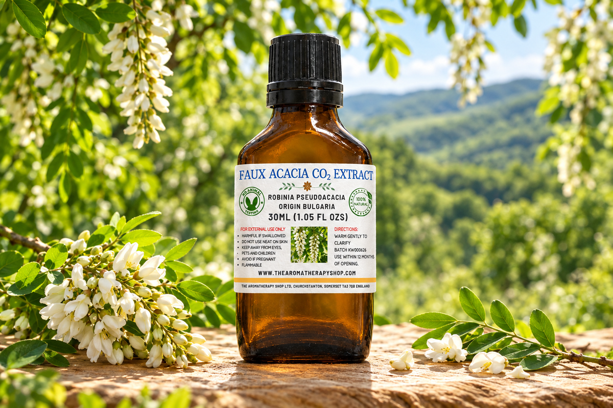 Faux Acacia showcase with the requested 30ML label correction, white blossoms and a Bulgarian grove setting, without bees