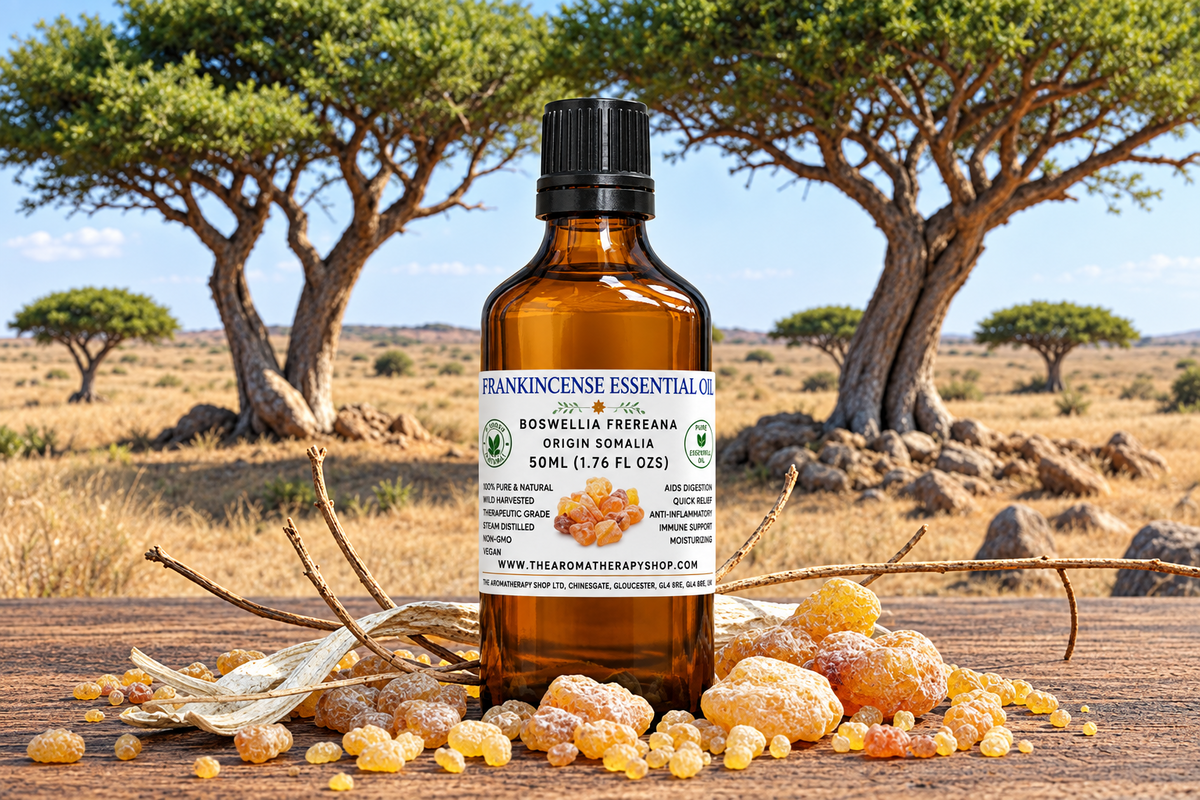 Frankincense Frereana 50ml - Label Below Collar