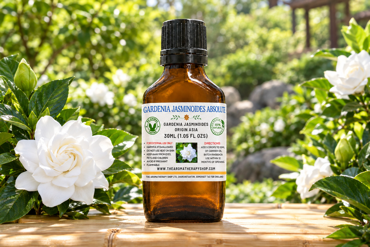 Gardenia jasminoides showcase with your label, white blooms and an Asian garden background on natural bamboo, without bees
