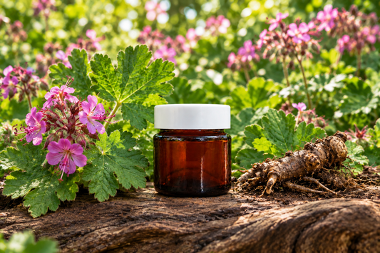 Geranium macrorrhizum showcase with flowers, foliage and rhizome scaled to the centred 4 cm jar on natural root wood