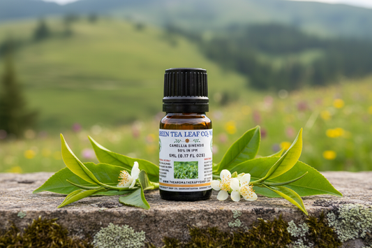 Green Tea Leaf CO2 Wax in a true 5ml squat amber bottle, Bulgarian hillside
