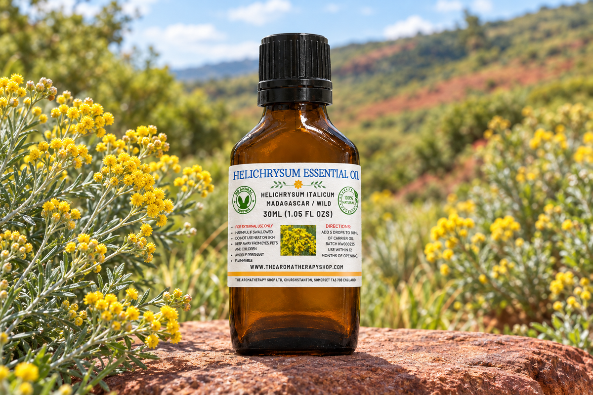 Helichrysum showcase with your label, a centred slightly set-back bottle and Madagascan landscape on natural red-brown stone