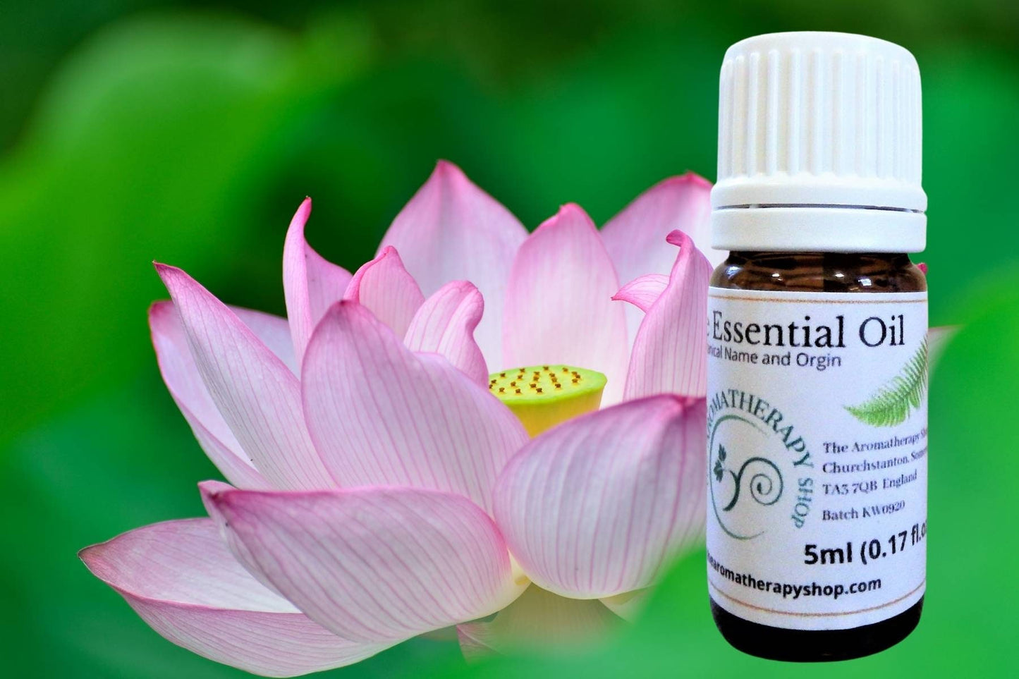 Egyptian Lotus Essential Oil