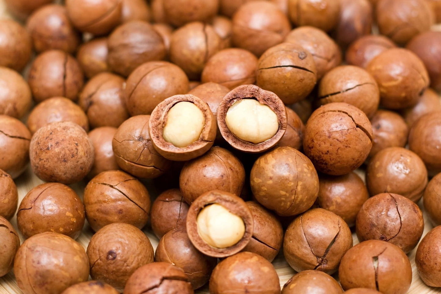 Macadamia Nut Oil