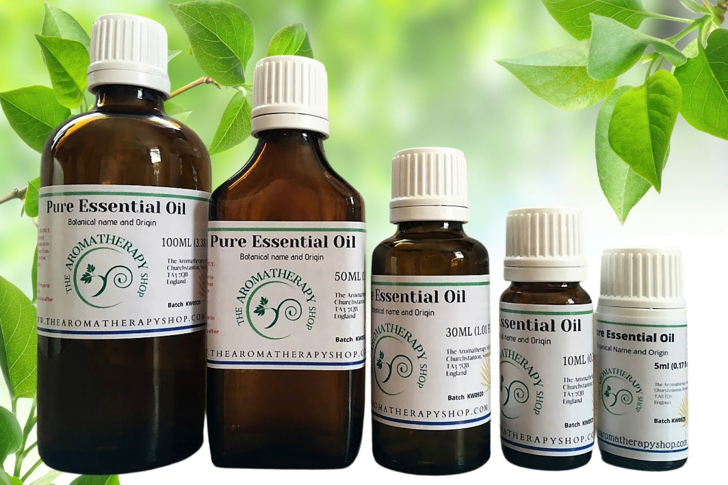 Bergamot FCF Pure Essential Oil