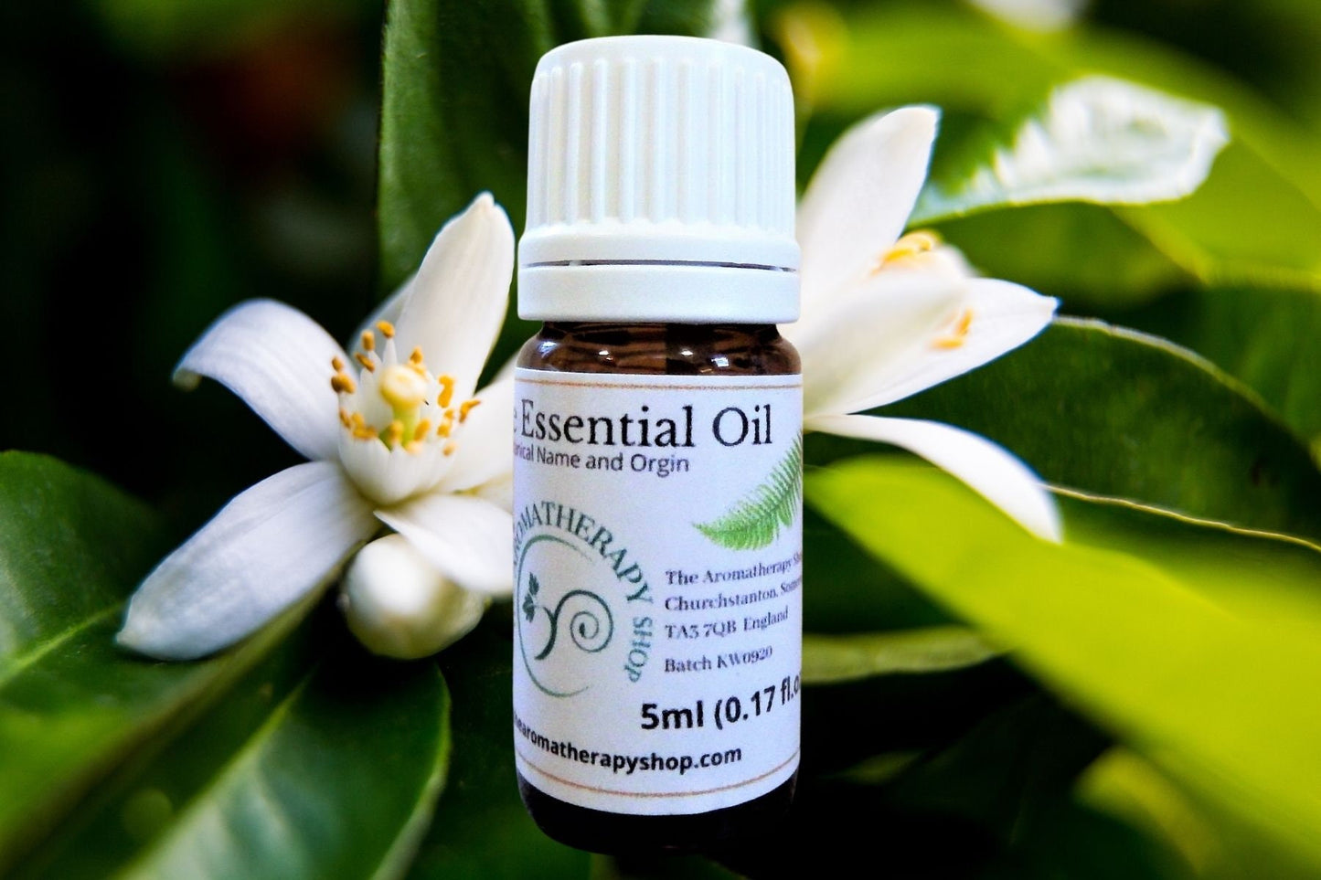 Neroli Pure Essential Oil