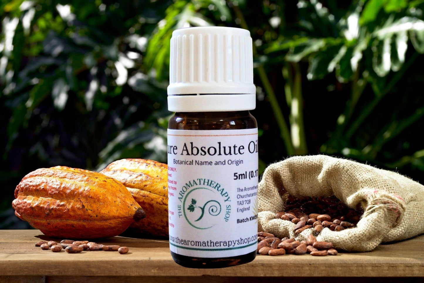 Cocoa Absolute Oil