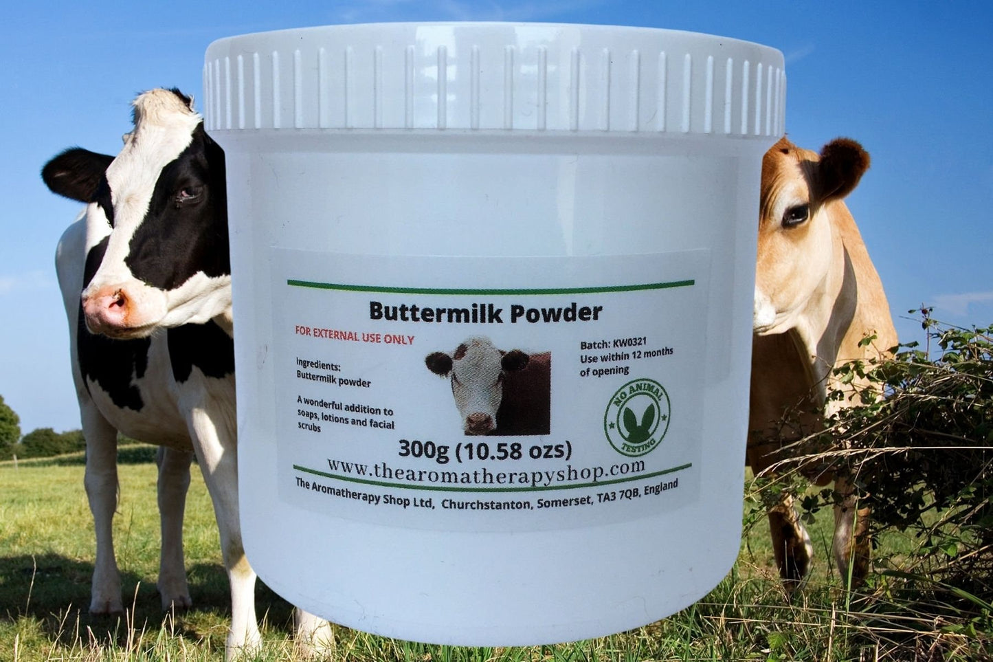 Buttermilk Powder