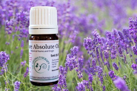 French Lavender Absolute