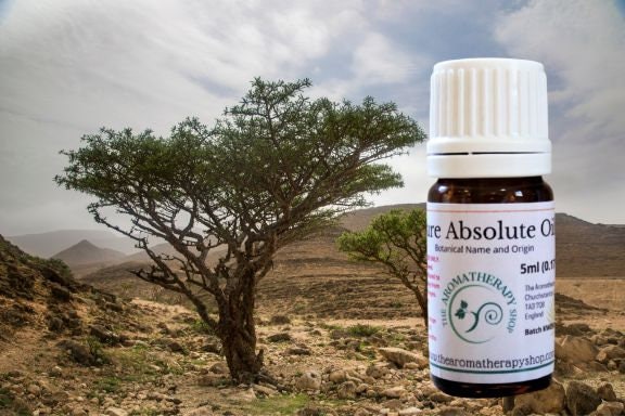 Frankincense (Olibanum) Absolute in 50% DPG
