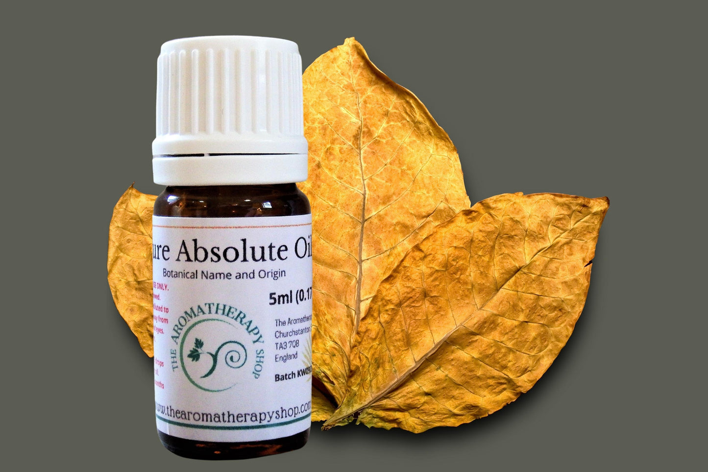 Tobacco Absolute Oil / Warm and Aromatic