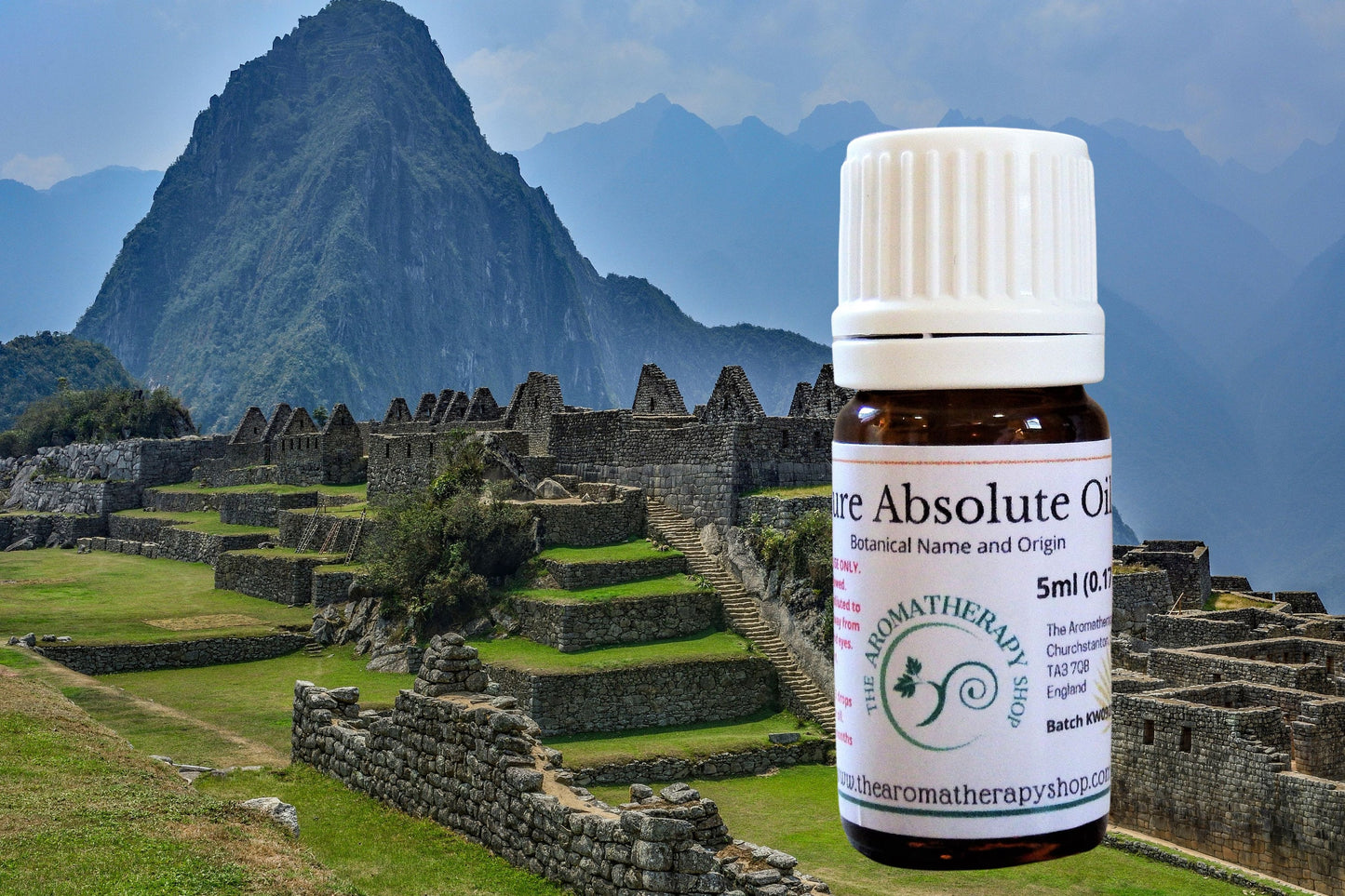 Tolu Balsam Absolute Oil / Origin France