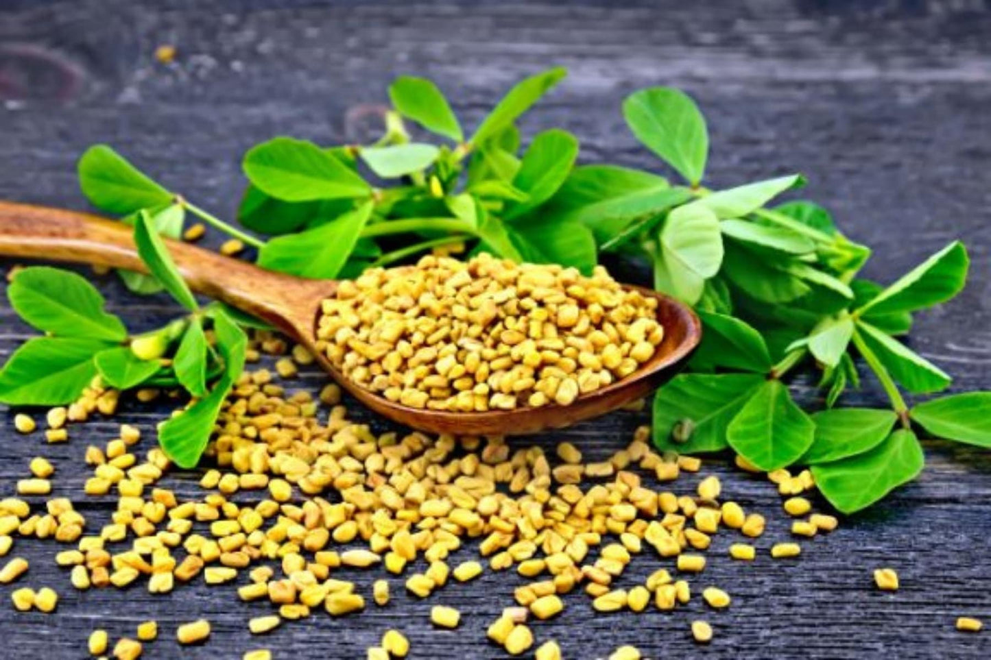 Fenugreek Seed Oil / Cold Pressed