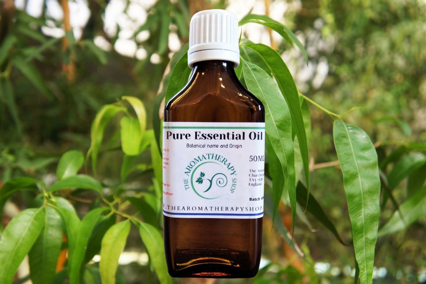 Eucalyptus Pure Essential Oil / Organic