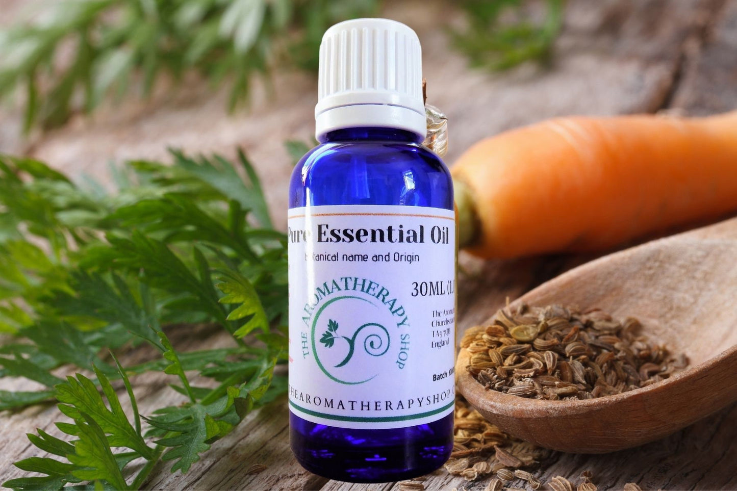 Carrot Seed Pure Essential Oil