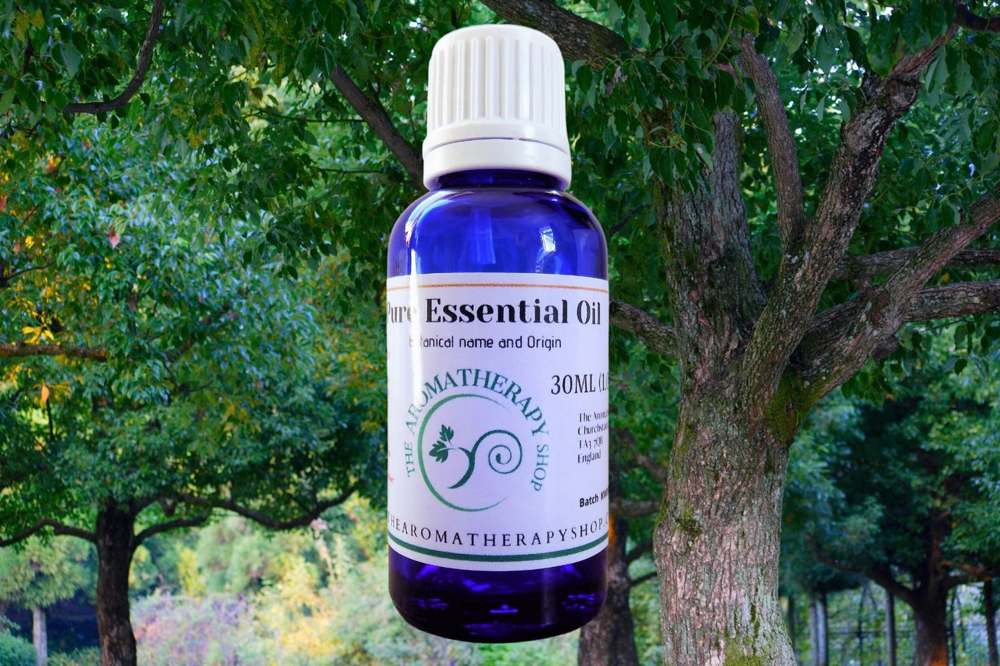 Ho Wood Pure Essential Oil
