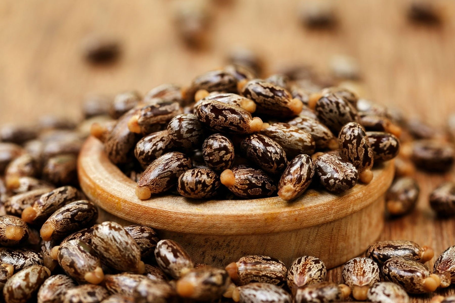 Castor Oil / Organic