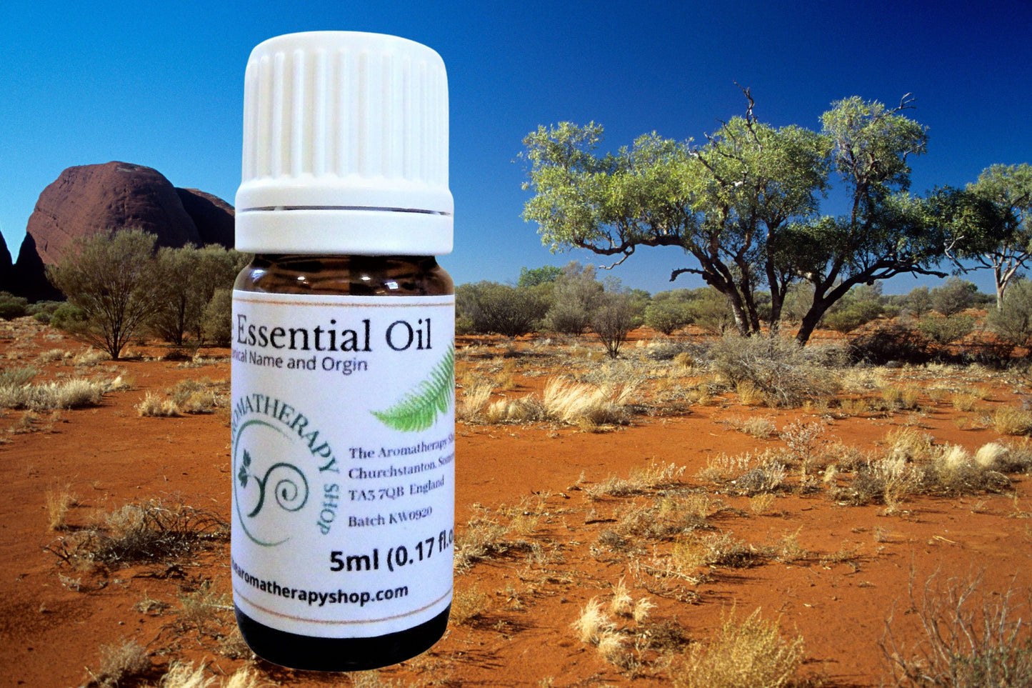 Australian Desert Rosewood Essential Oil / Rare