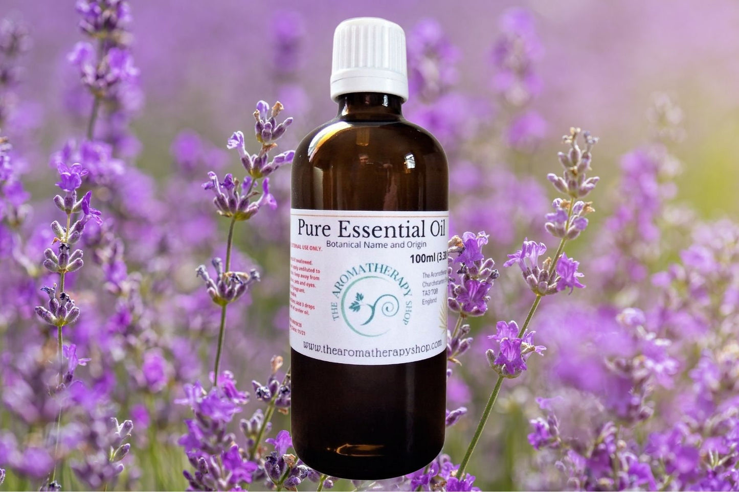English Lavender Essential Oil
