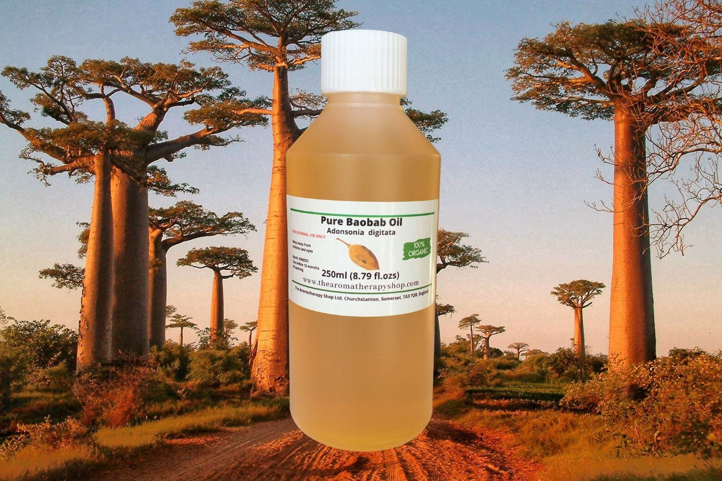 Baobab Oil / Organic
