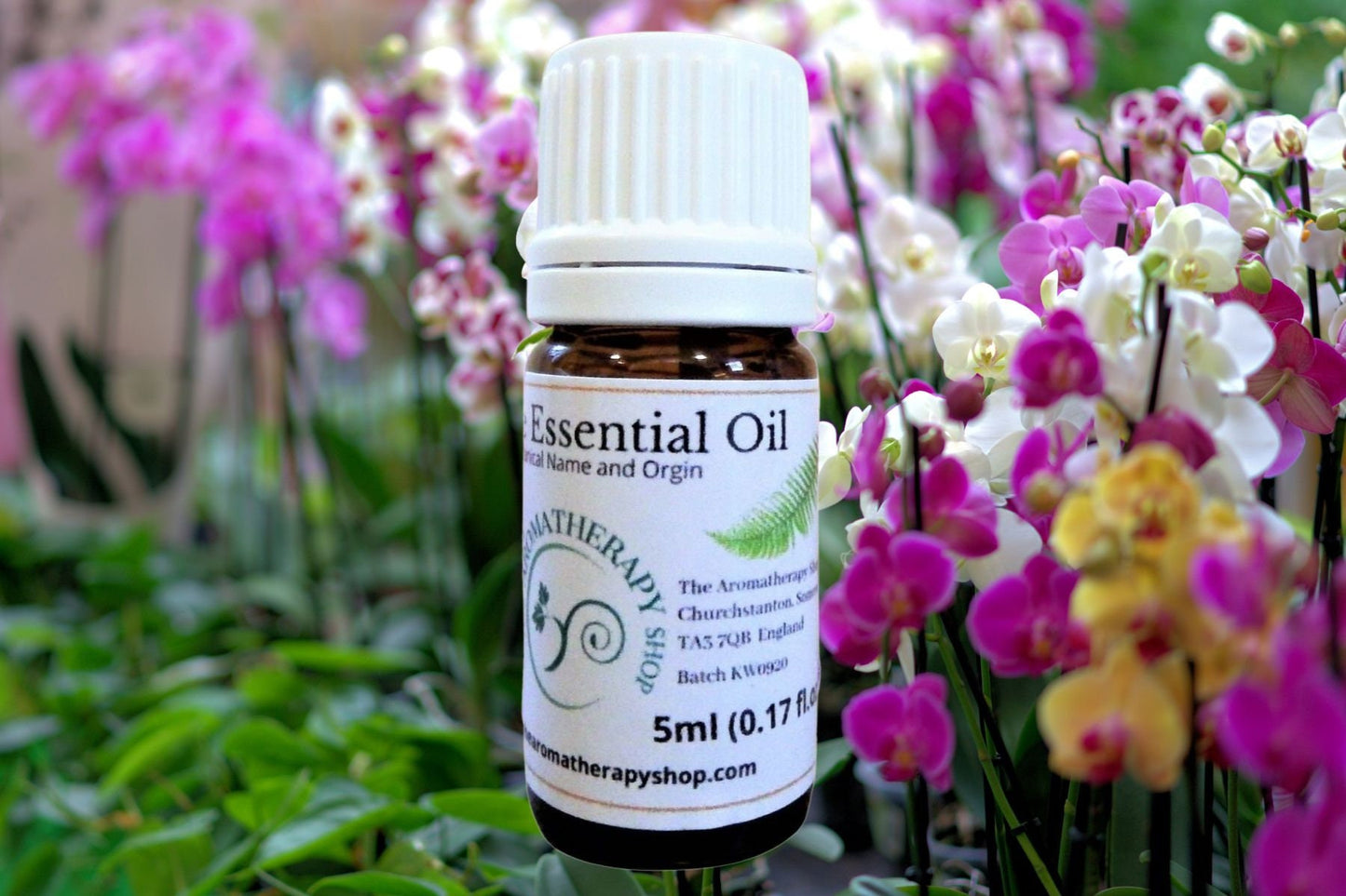 Orchid Essential Oil / Origin: South Asia
