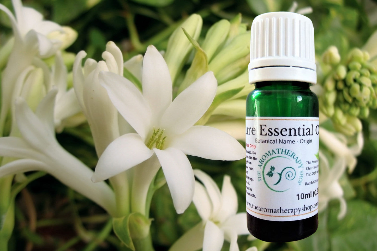 Tuberose Essential Oil