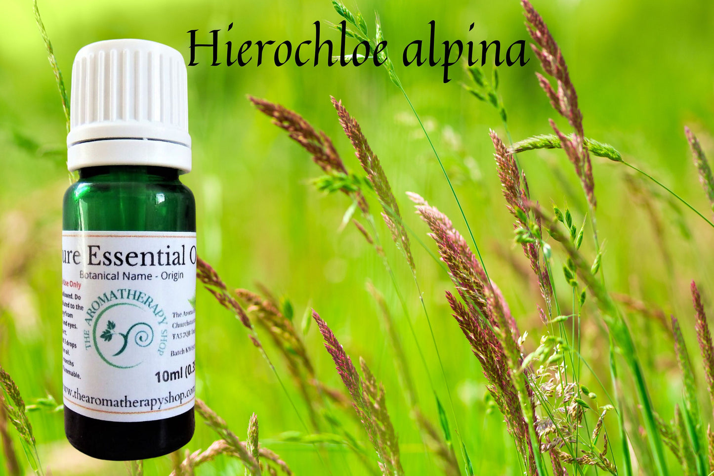 Hay Essential Oil / Origin France