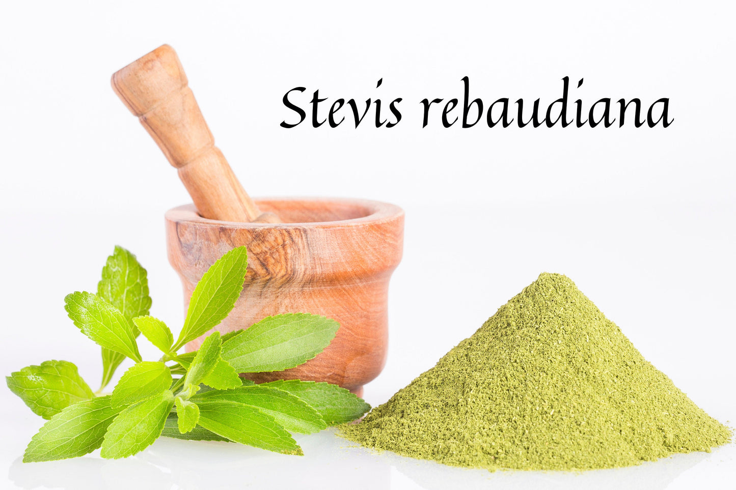 Stevia Leaf Absolute / Origin France