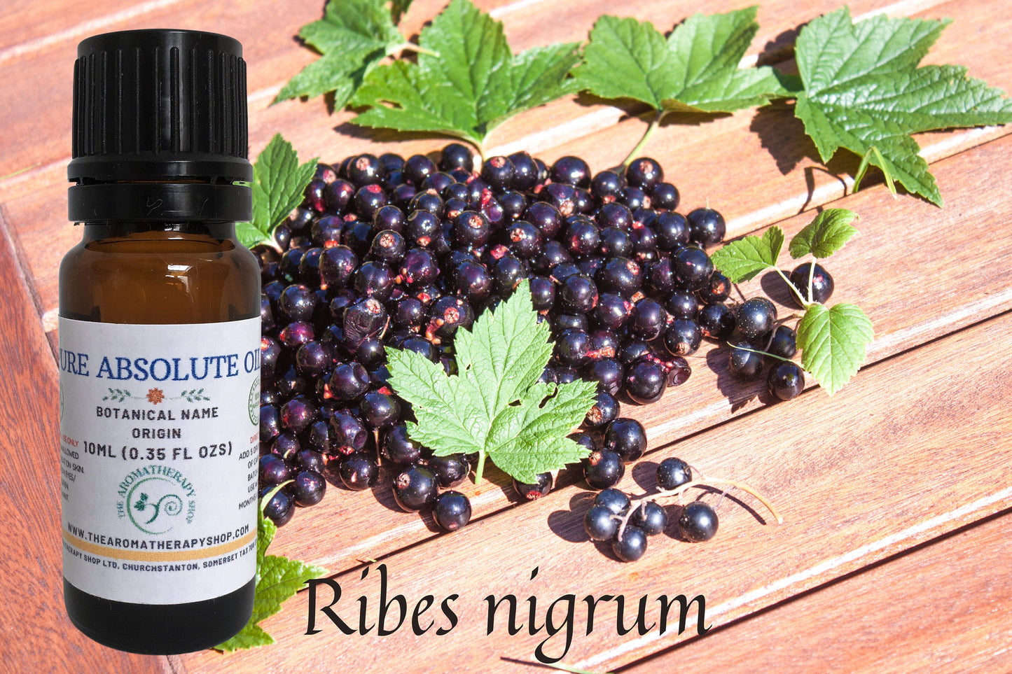 Perfumers Blackcurrant Bud Absolute / pourable liquid form in DPG