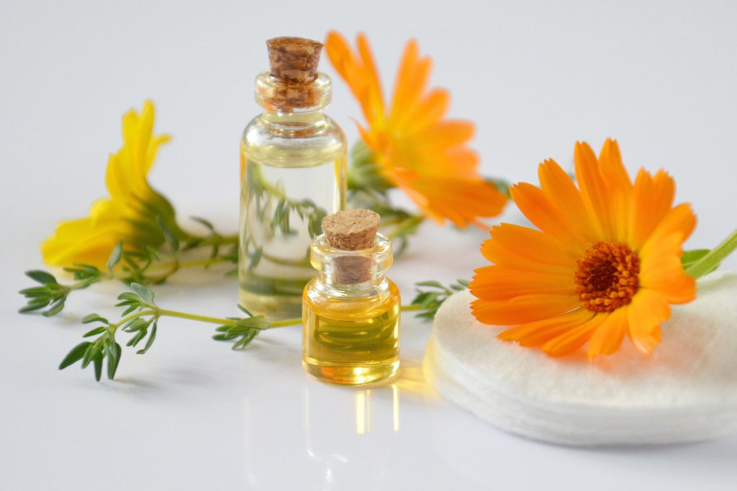Calendula Carrier Oil Infusion