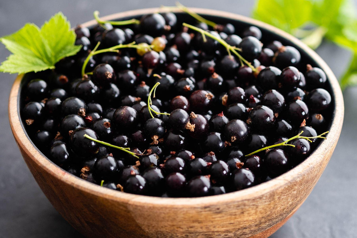 Blackcurrant Aroma Oil for Soaps, Candles, Lotions and Shampoos