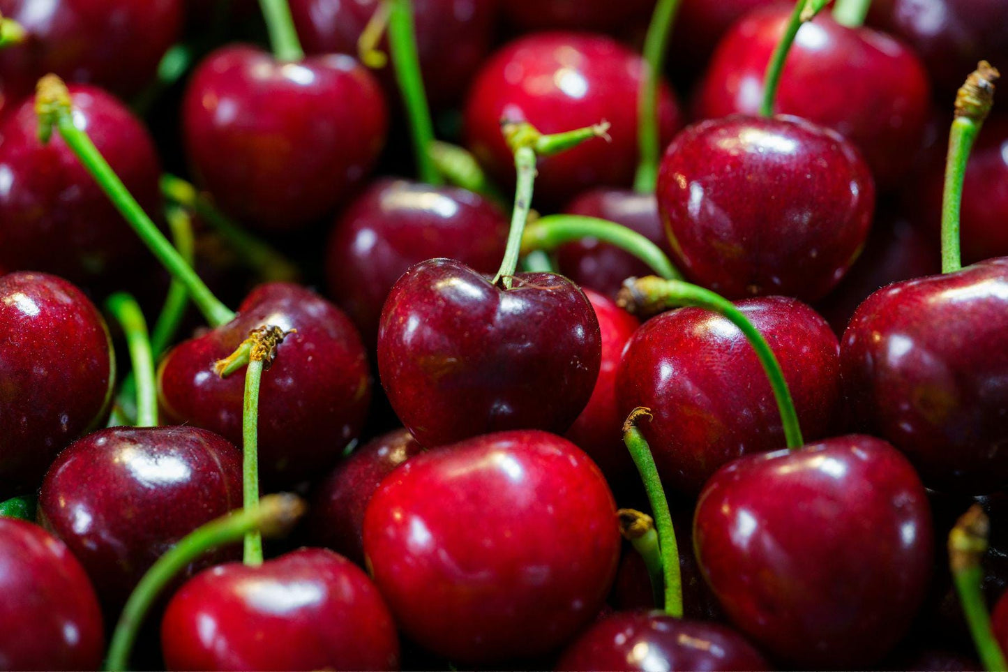 Cherry Aroma Oil for Soaps, Candles, Lotions and Shampoos