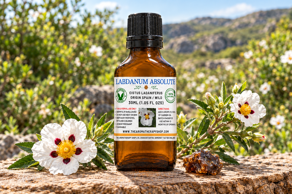 Labdanum Absolute showcase with your label, spotted rockrose elements on weathered cork-oak wood and a Spanish landscape