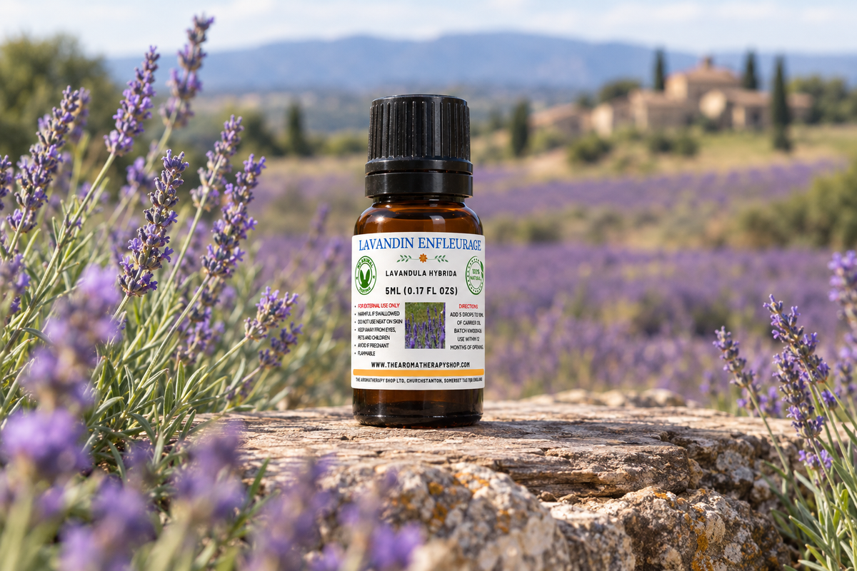 Lavandin Enfleurage 5ml showcase, corrected label layout