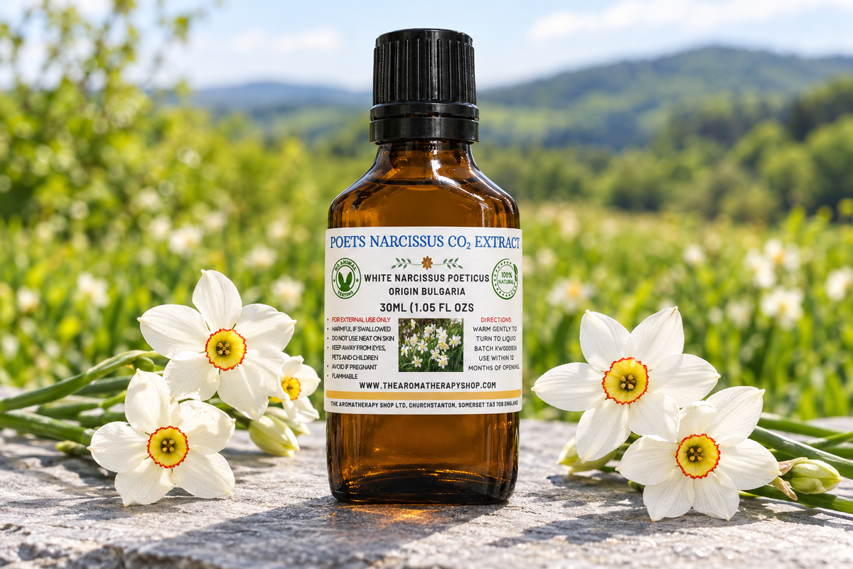 New Poet’s Narcissus attempt using the original bottle photo and your supplied label