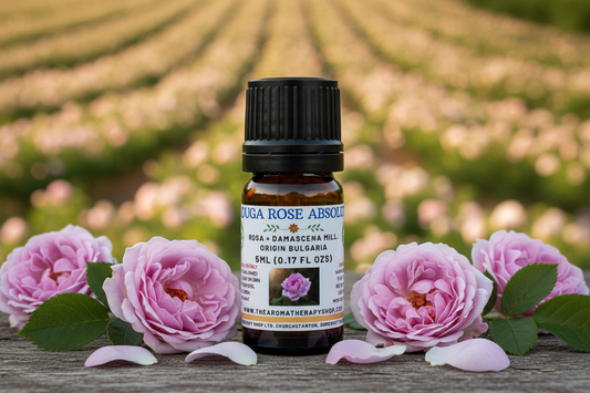 Raduga Rose Absolute 5ml Outdoor Showcase