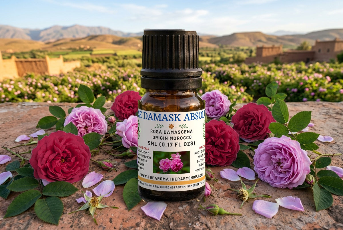 Moroccan Rose Damask Absolute — Deep Honeyed Floral, Slightly Spiced Heart Note