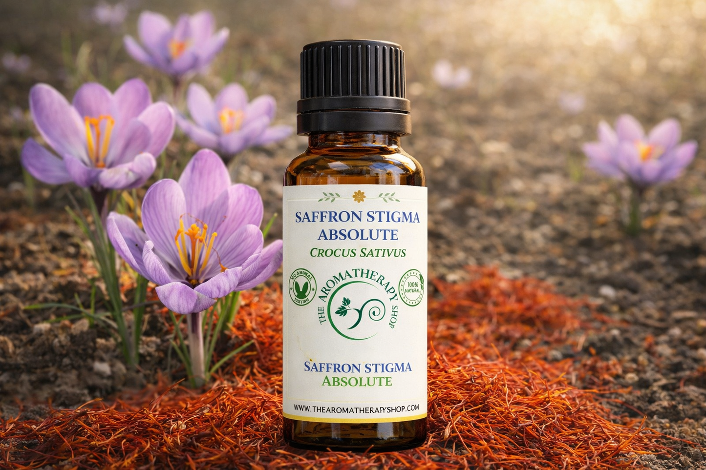 Saffron Stigma Absolute | Perfumery Grade