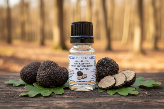 Scorzone Truffle Absolute 1ml - Clear Glass Bottle Fresh Start