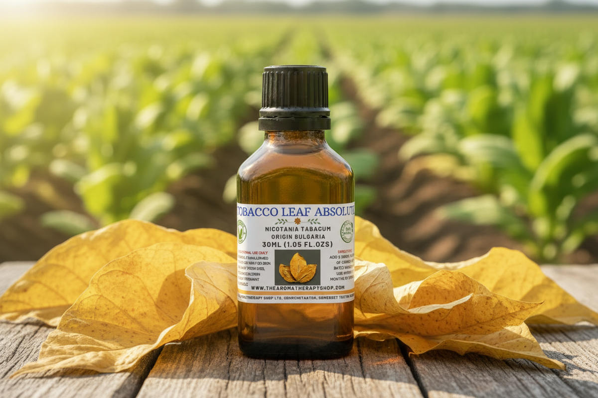 Tobacco Leaf Absolute 30ml