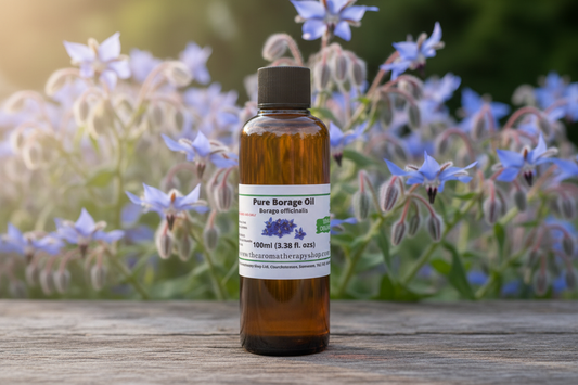 100ml Borage Oil with Natural Borage Background