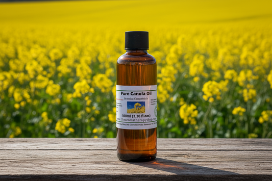100ml Canola Oil with Sharp Canola Background