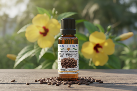 10ml Ambrette Seed - Tall Slender Bottle Attempt