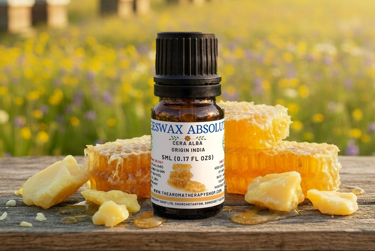 Beeswax Absolute Oil / Distinctive Aroma