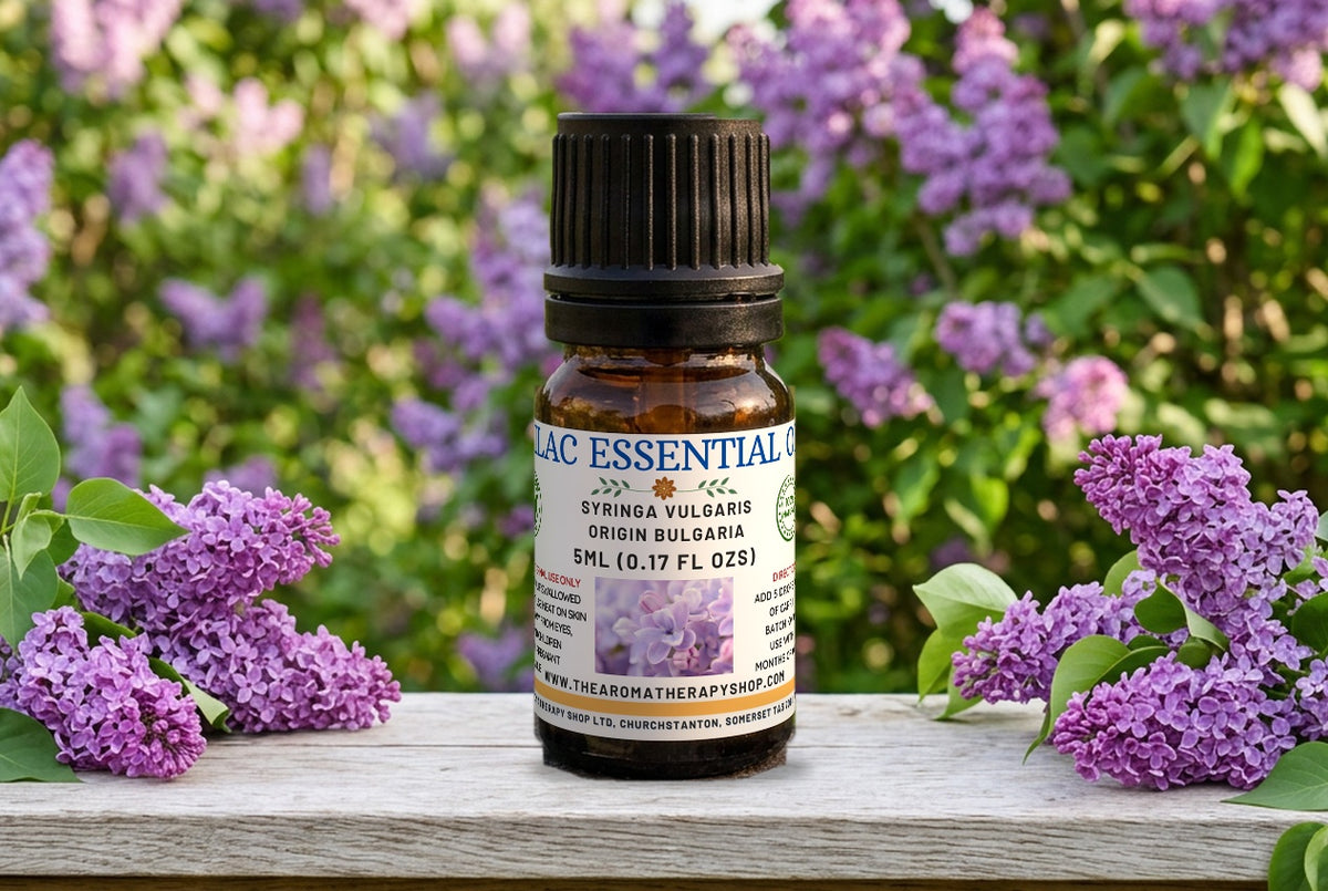 Bulgarian Lilac Essential Oil