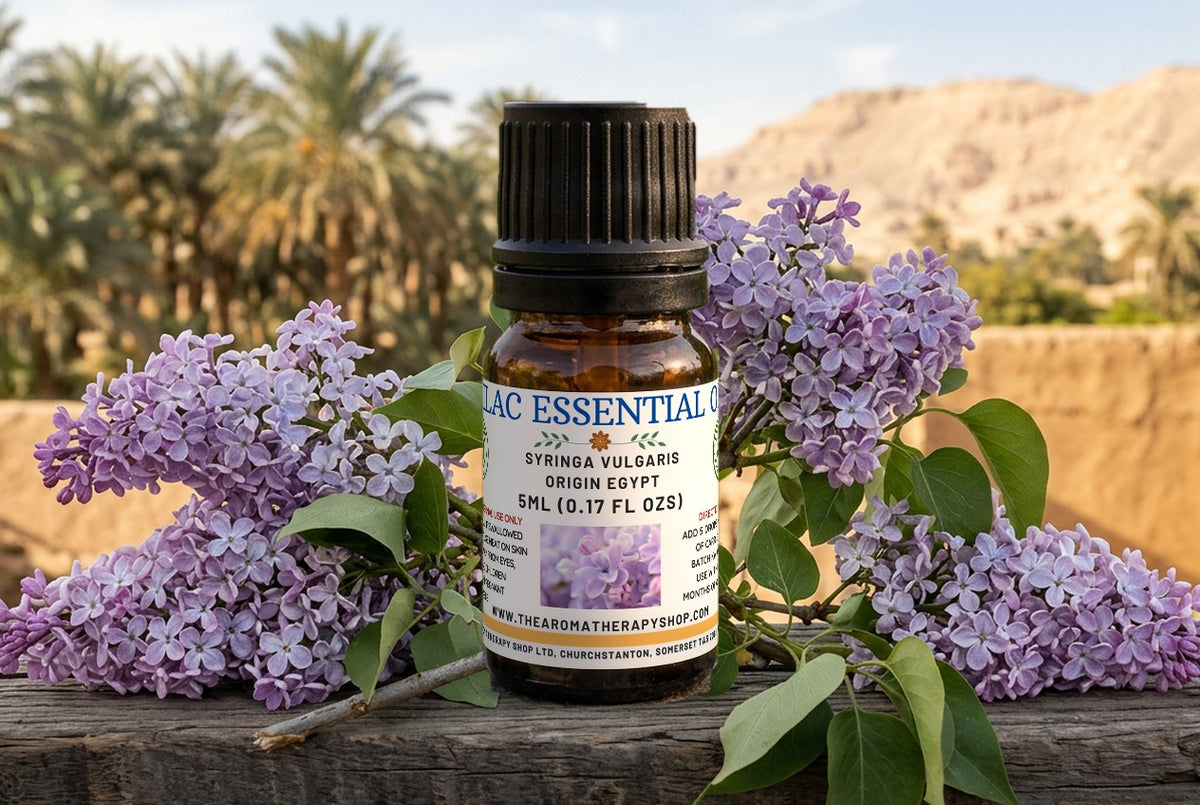 Egyptian Lilac Essential Oil